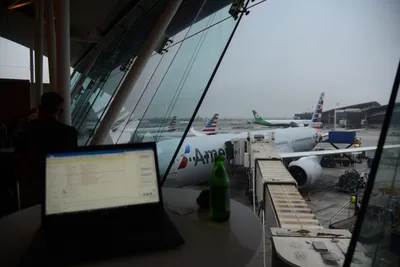 DSC_3167 (Large).JPG